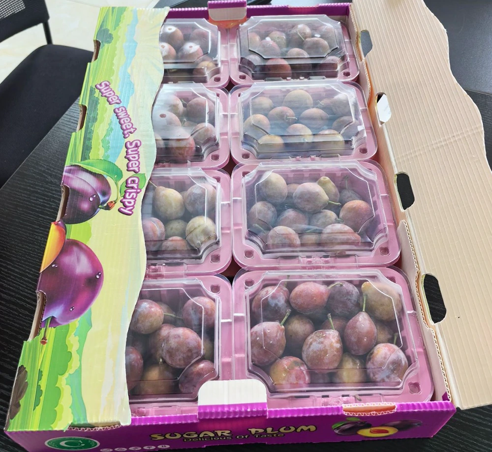 Wat sinn d'Haaptpersonnarakter a Virdeeler vun huel Plädéierungsboxen?