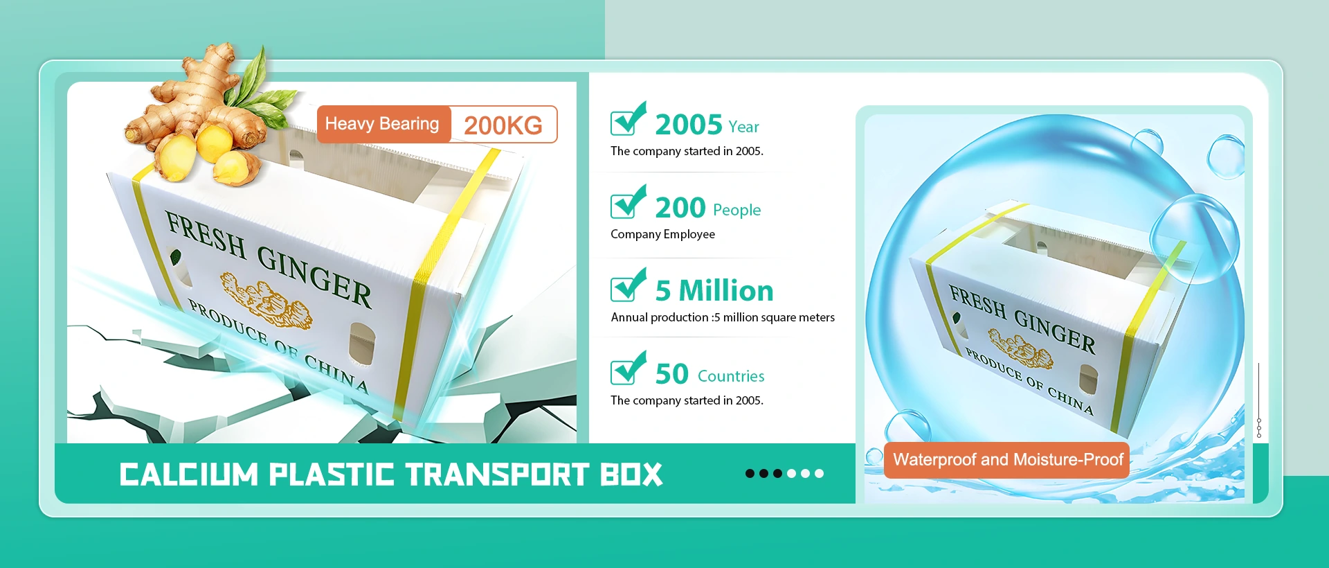 China Kalziump Plastiks Transport Box Hiersteller