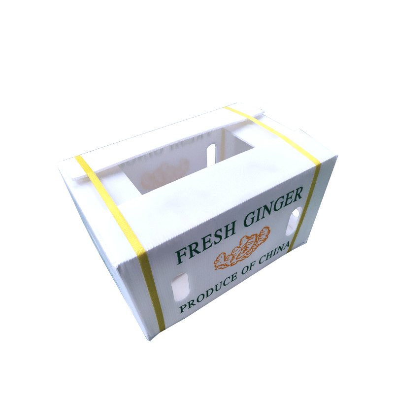 Wéi wielen Dir Uebst Transferboxen?