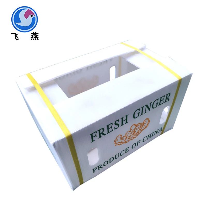 Kalzium Plastik Hollow Board Box