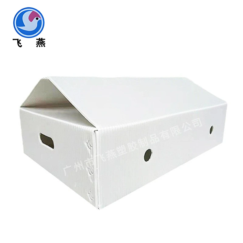 Gréng Planz Pe Hollar Board Tirogver Box