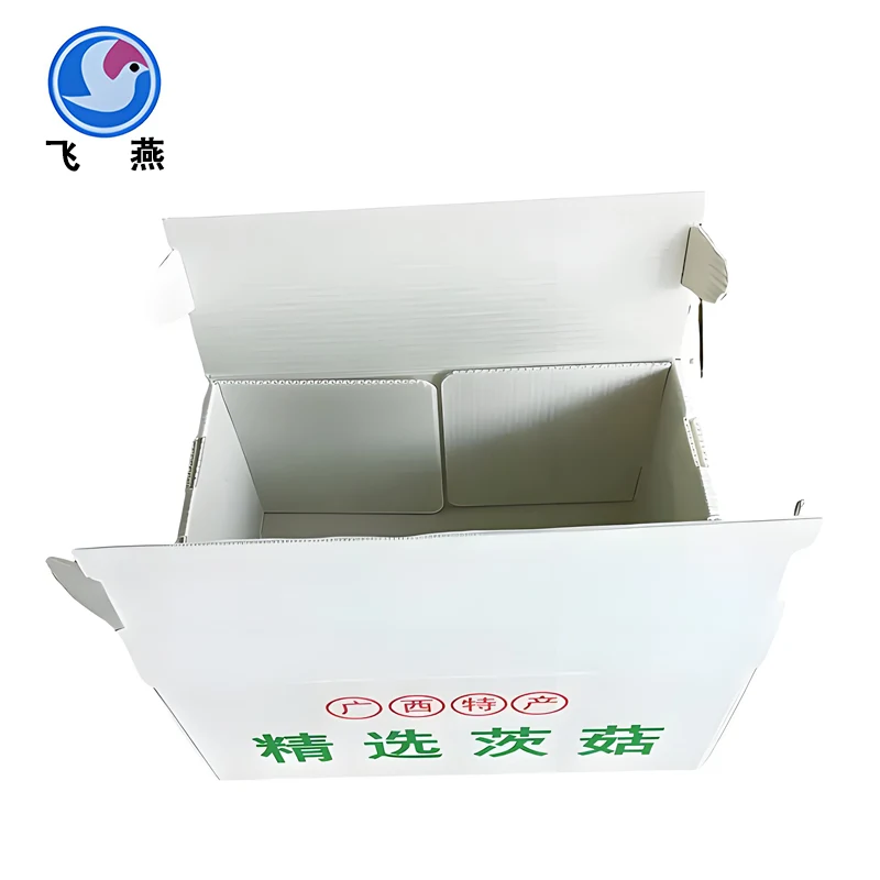 Champignon Verpackungsbox