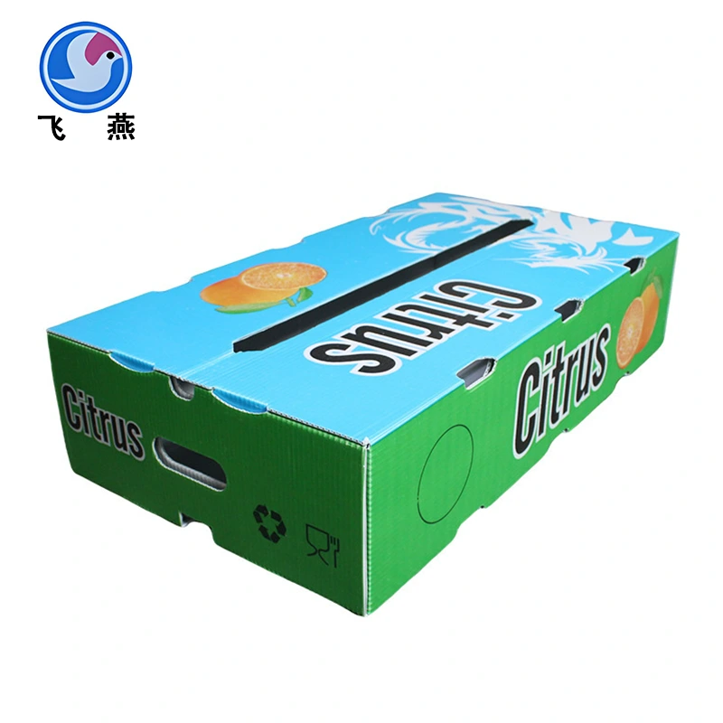 Orange Kalzium Plastikszenter Box