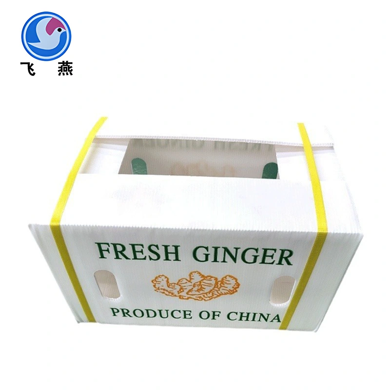 PP Geméis frësch-Holding Box