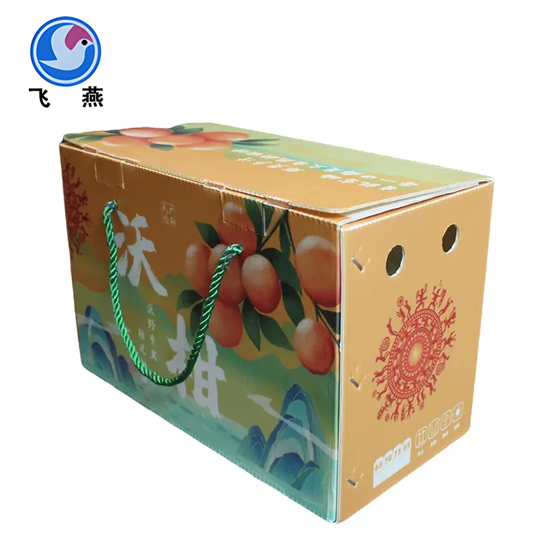 Tangerine Verpackungsbox