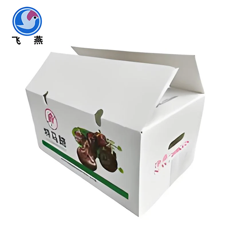 Waasser Kastannut Turnnover Box